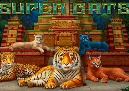 Super Katzen
