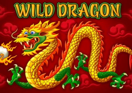 Wilder Drache
